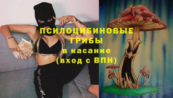 тгк Коряжма