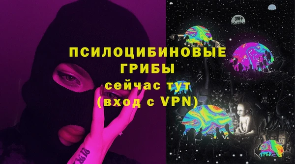 амф Козельск