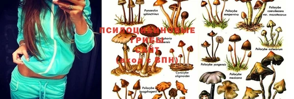 мет Кодинск