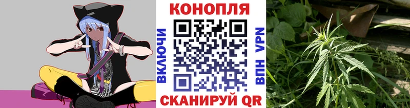 Каннабис MAZAR  Купить где  Клинцы 